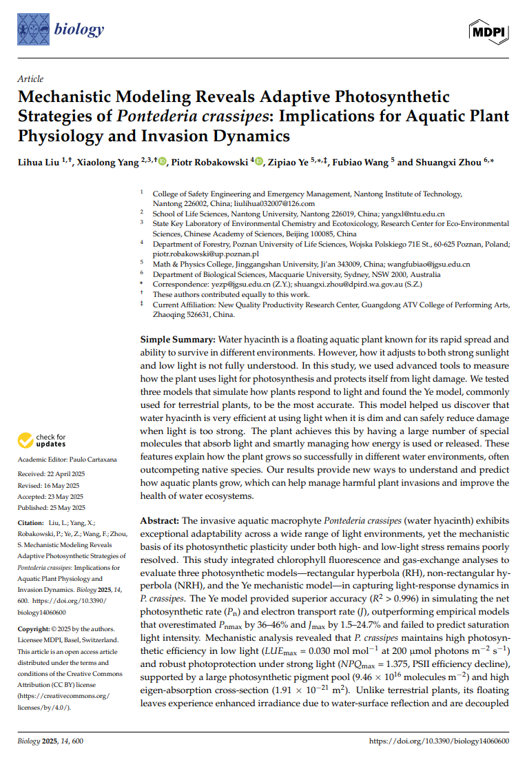 Mechanistic Modeling Reveals Adaptive Photosynthetic Strategies of Pontederia crassipes: ...