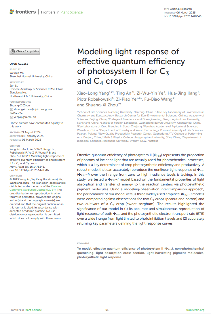 Modeling light response of effective quantum efﬁciency of photosystem II for C3 and C4 crops